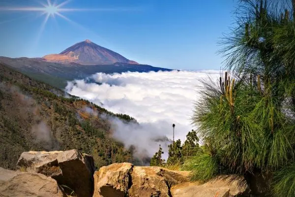 Tenerife Day Trips - Teide Tenerife Tour (with optional cable car)