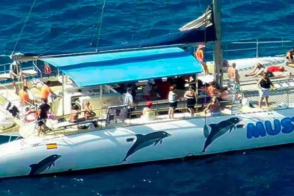 Whats open in Tenerife for TravelonON - Mustcat Catamaran Tenerife 3hrs