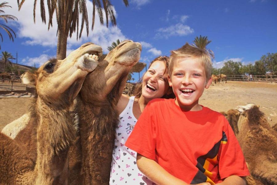 Oasis Park Camels Experience