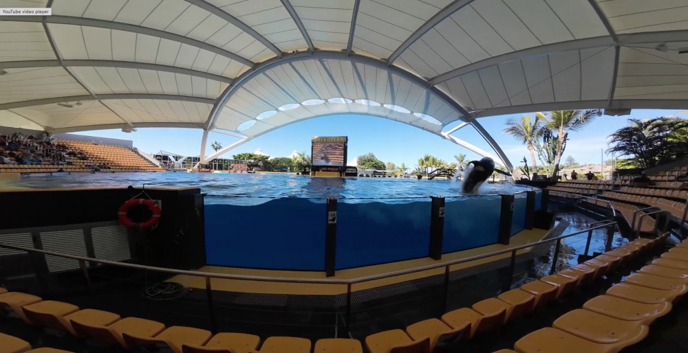 Orca Ocean at Loro Parque