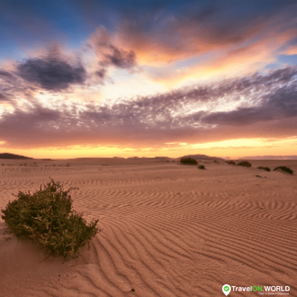 Get on the Fuerteventura Sand Dunes