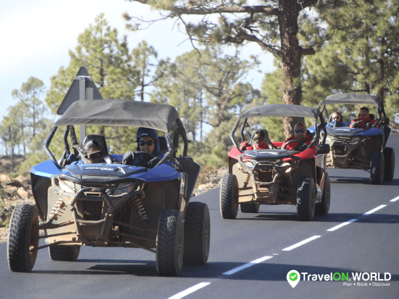 Teide National Park Buggy Rides