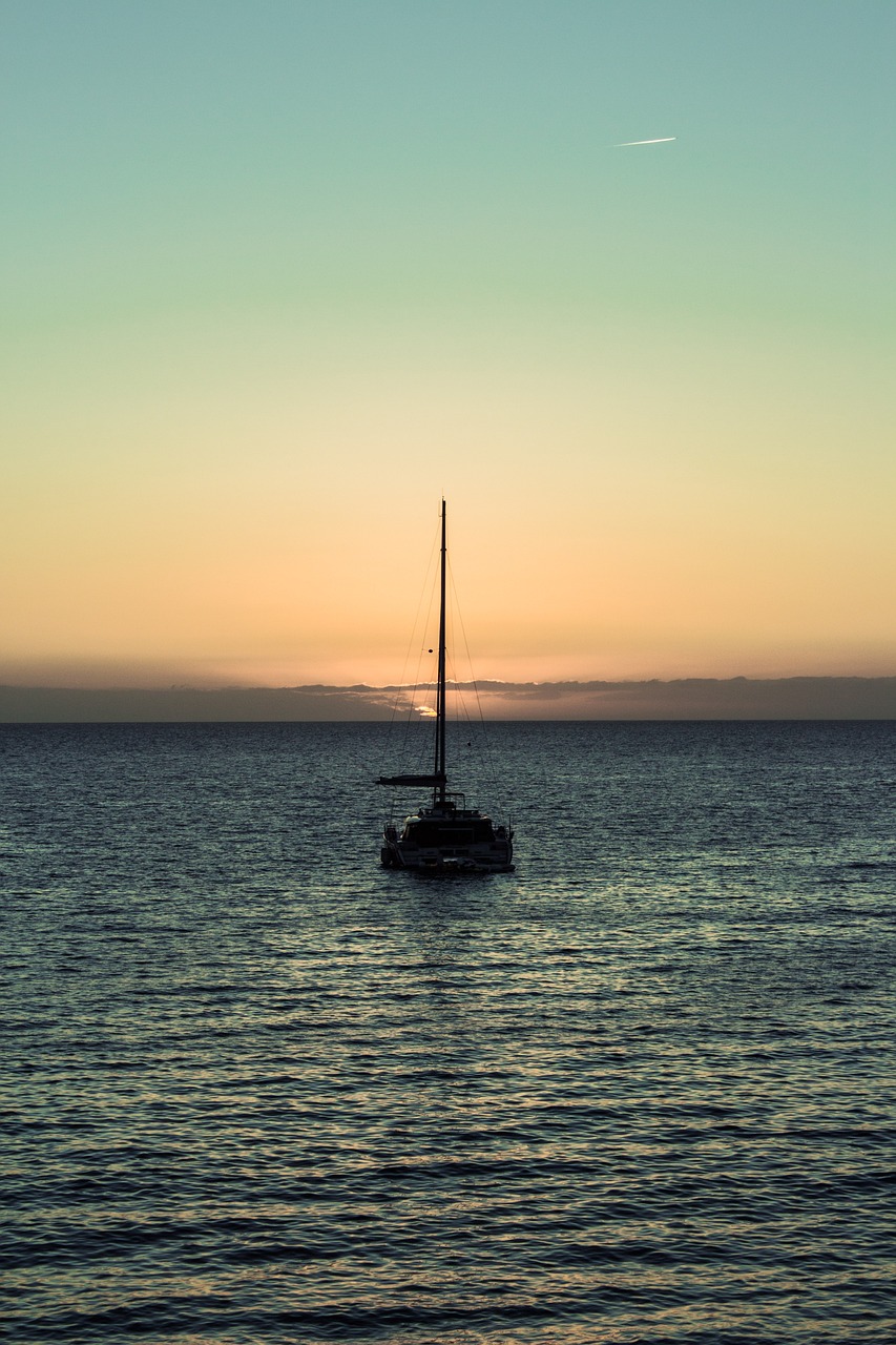 Dolphin and Whale Watching Gran Canaria