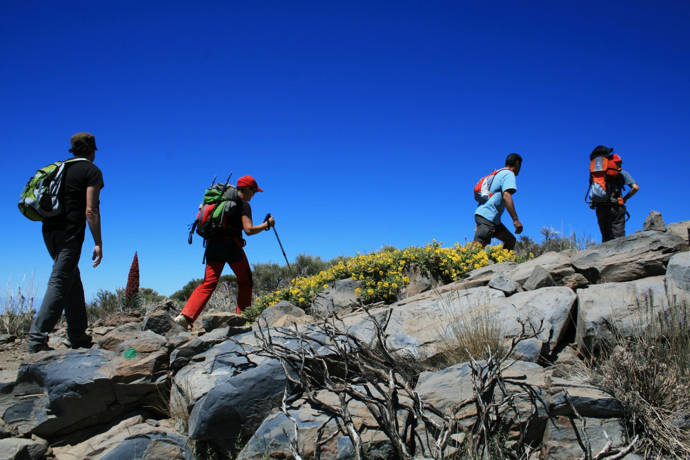 Hiking in La Gomera