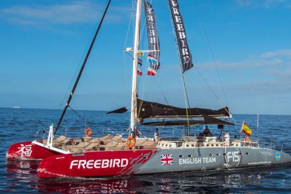Freebird Tenerife catamaran 3 hrs