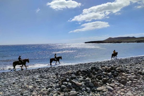 Horse Riding Tenerife