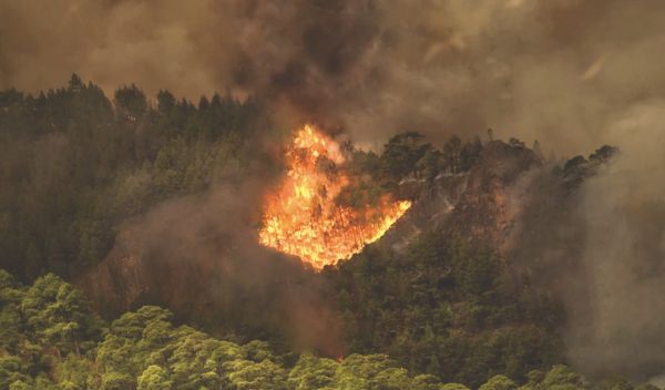 Firefighters battle wildfire on popular Canary Island 