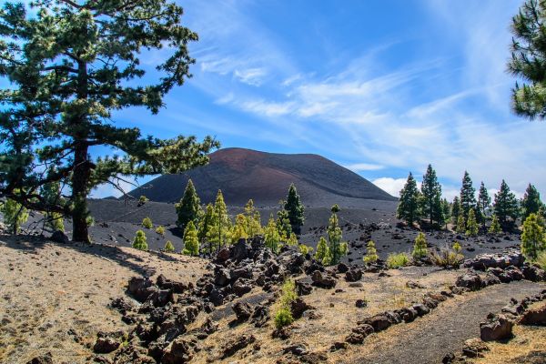 11 'must do' things to add to your Tenerife bucket list