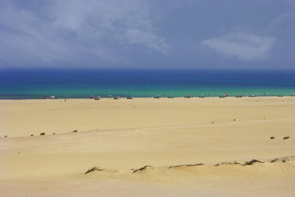 The Ultimate Holiday Guide to Fuerteventura