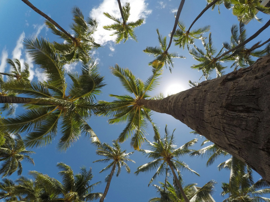 Temperatures in the Canary Islands could hit 30 degrees this weekend