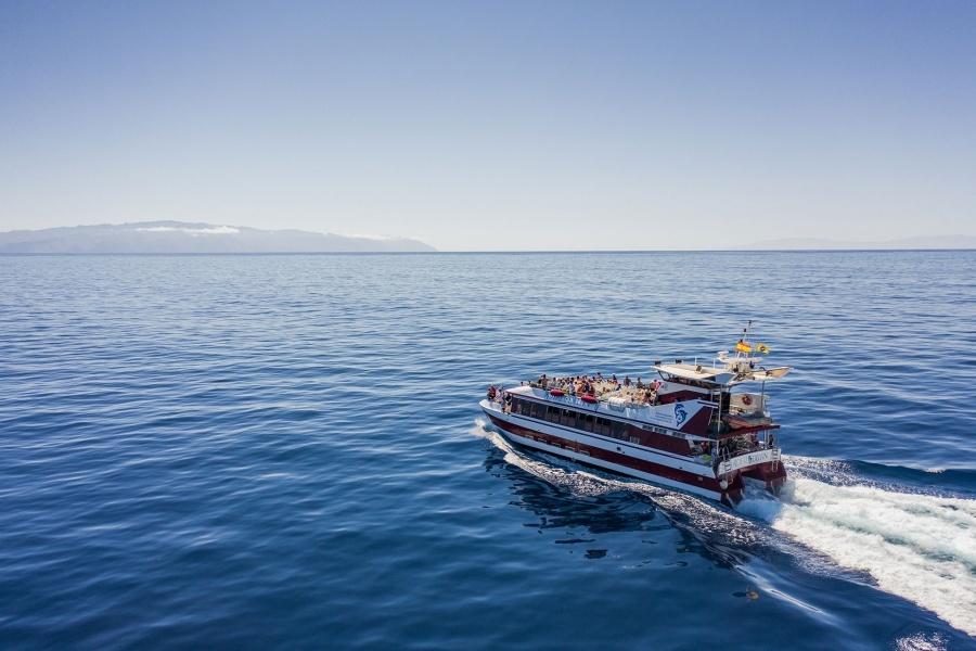 boat trips in tenerife