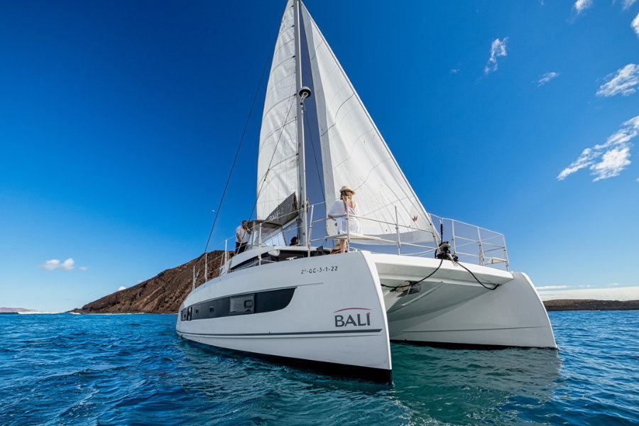 adults-only-catamaran-sailing-fuerteventura