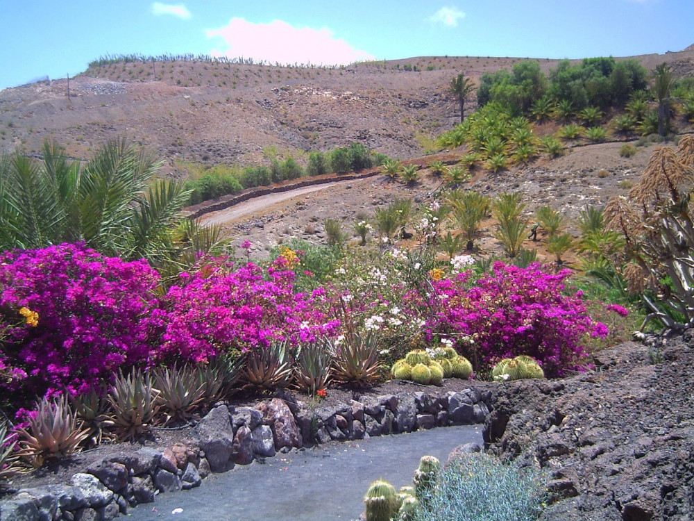 Hiking and Trekking in Fuerteventura