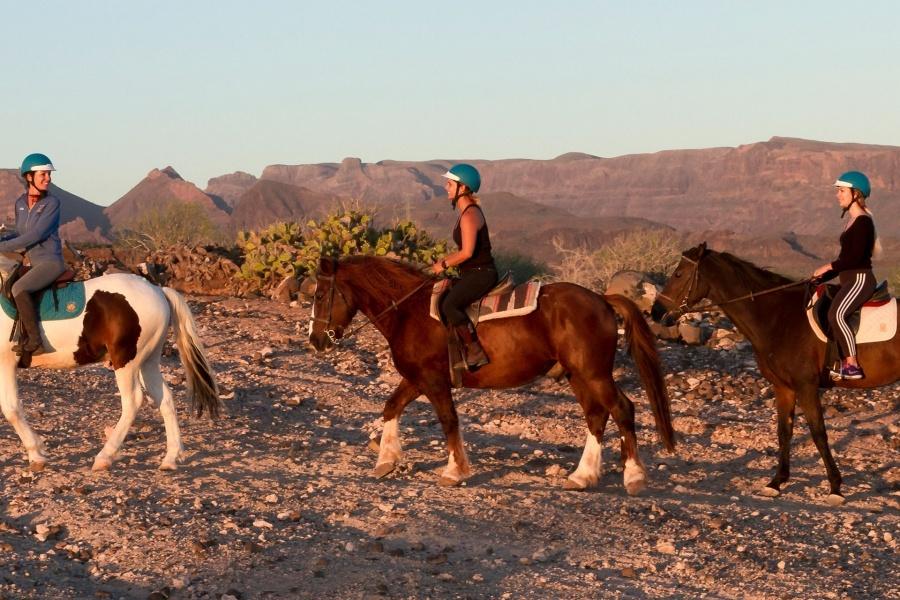 Horse Riding in Gran Canaria with the family