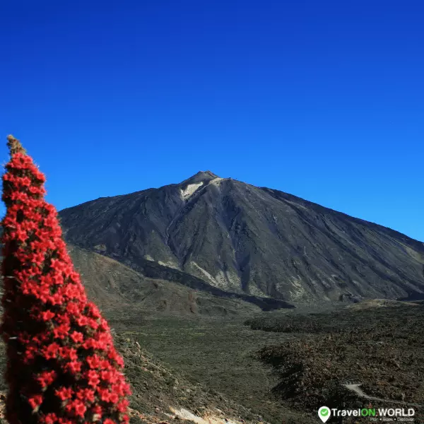 Visit Mount Teide National Park