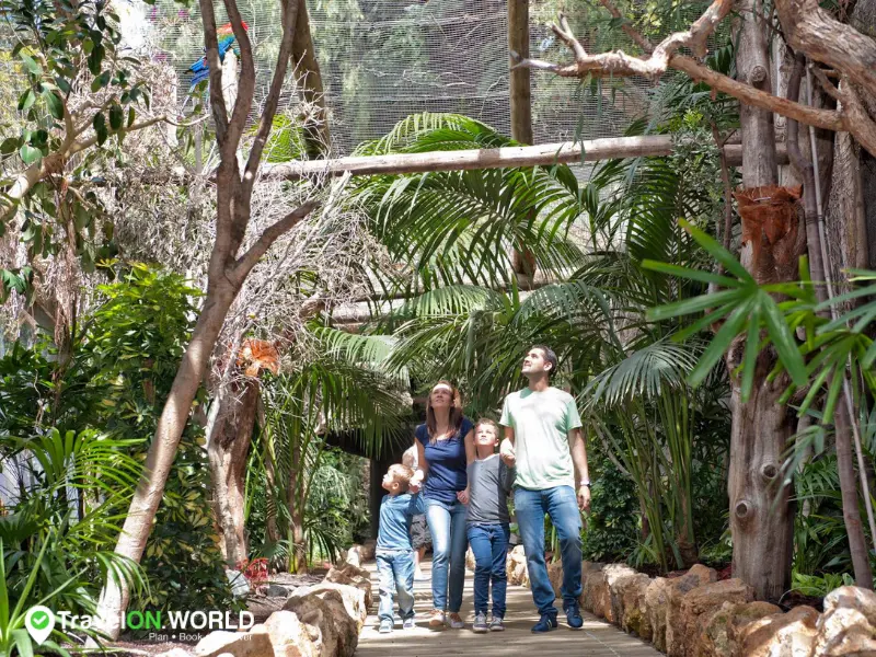 Visit a Tenerife Zoo