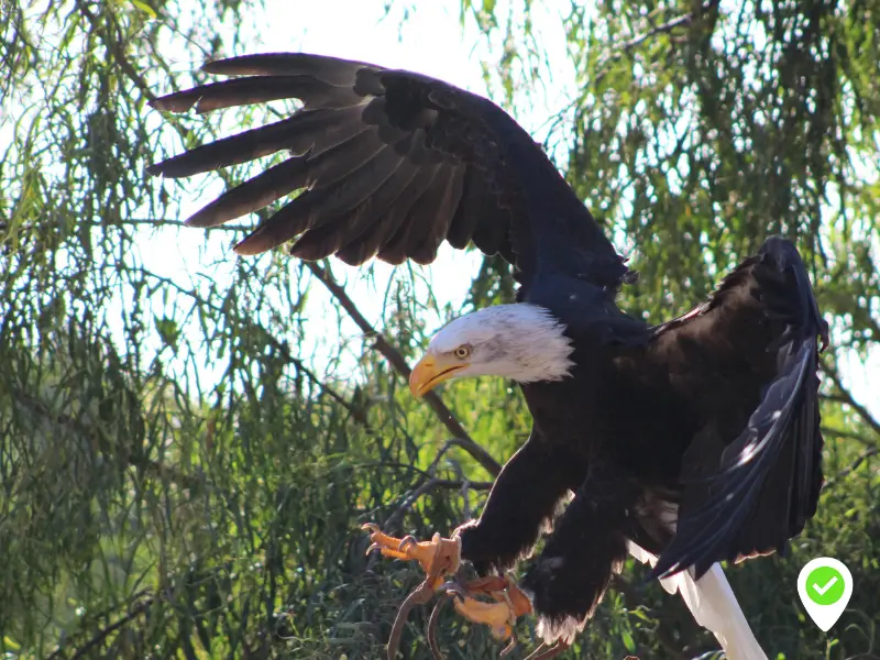 Get a virtual educational experience in Lanzarote Rancho Texas Park