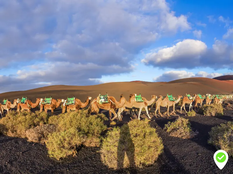 Things to see in Timanfaya National Park