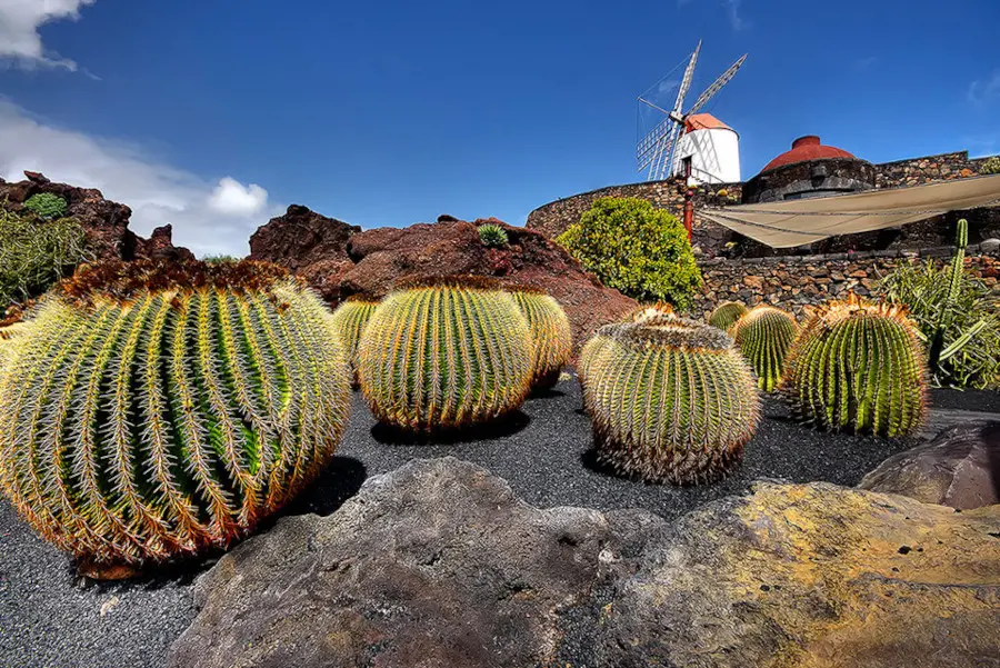 lanzarote-attractions-entrance-pack_1