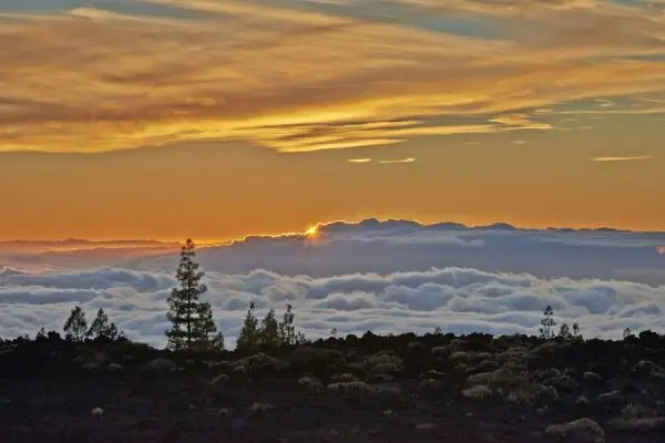 Teide By Night