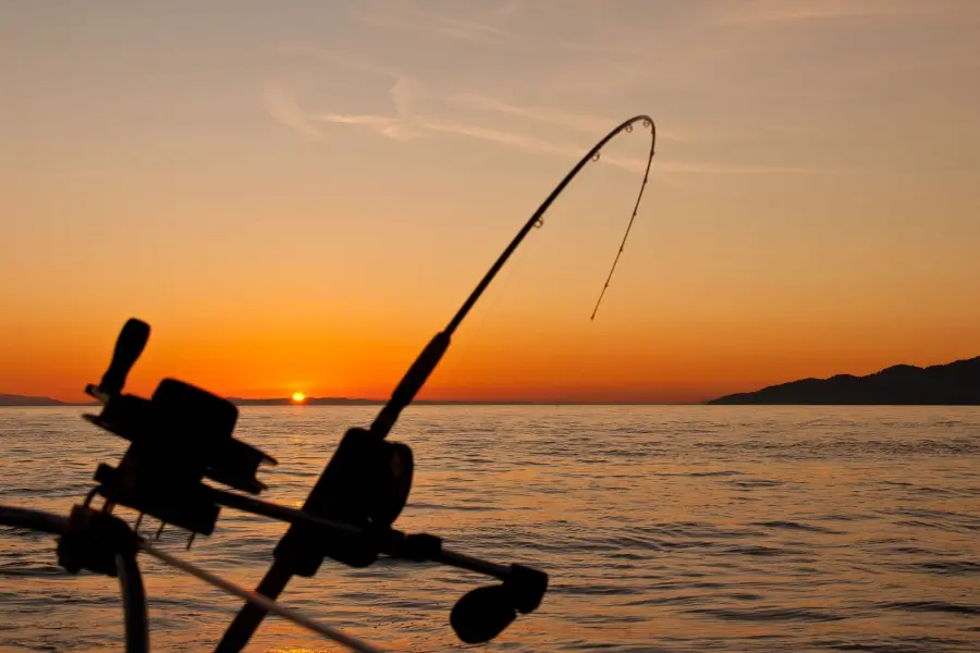 lanzarote-fishing-by-night_2