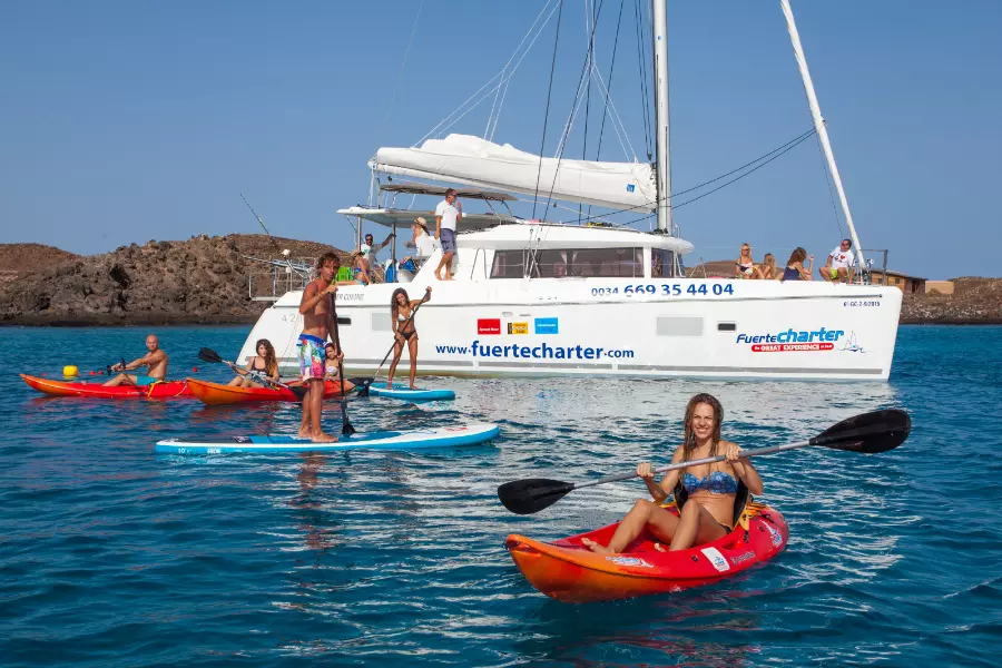 dolphin-watching-catamaran-fuerteventura