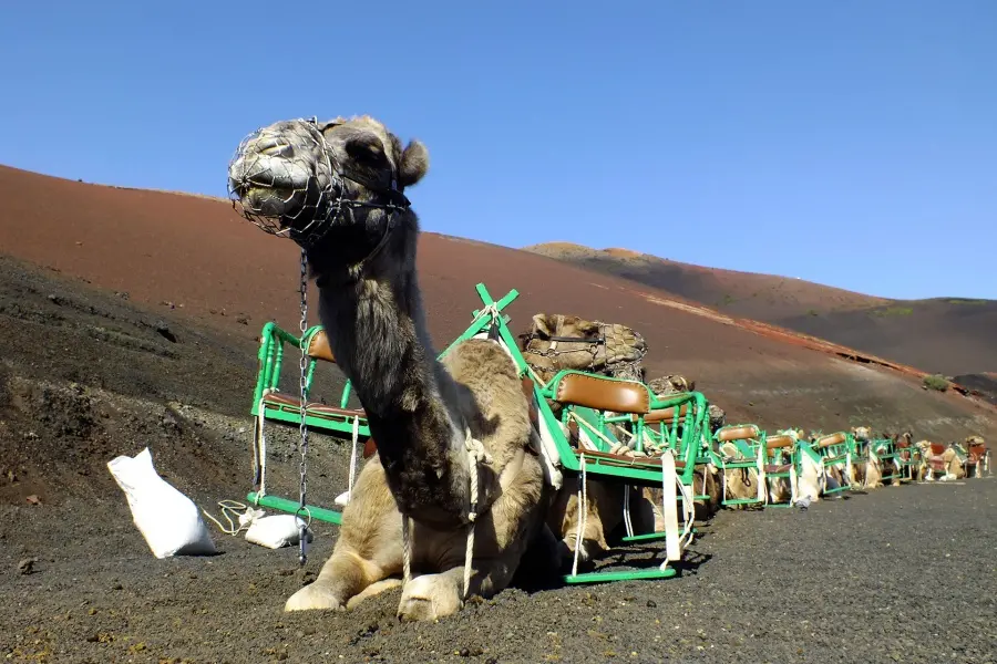 cruise-excursions-lanzarote-grand-tour_4