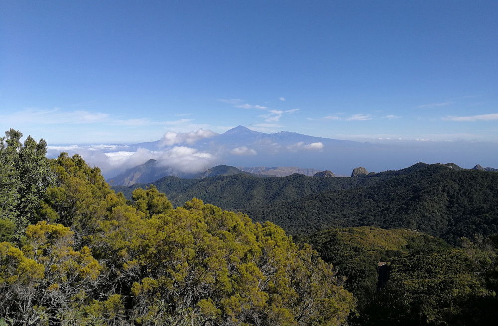  The Garajonay National Park La Gomera