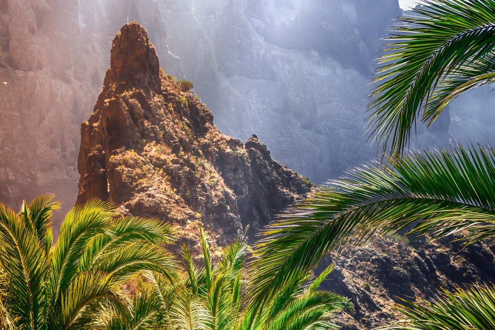 Things to do in Tenerife. Masca