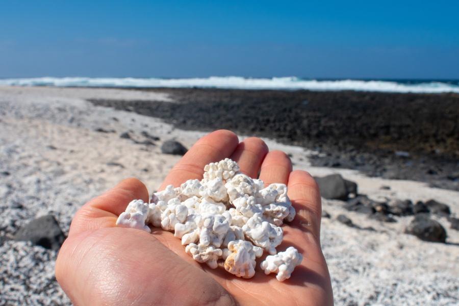 Top 12 things to do in Fuerteventura.  Popcorn Beach