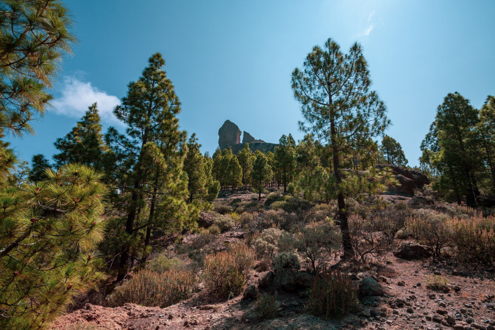 Best places to visit in Gran Canaria.  Roque Nubile