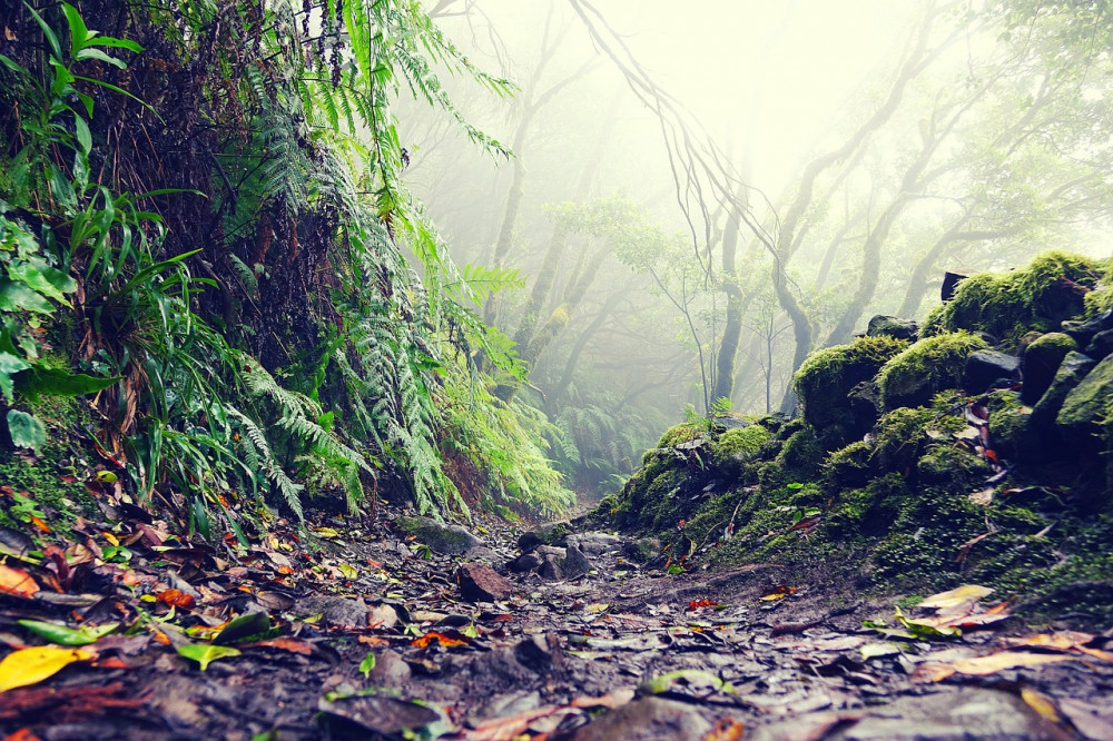 Things to do in Tenerife. Anaga Rural Park